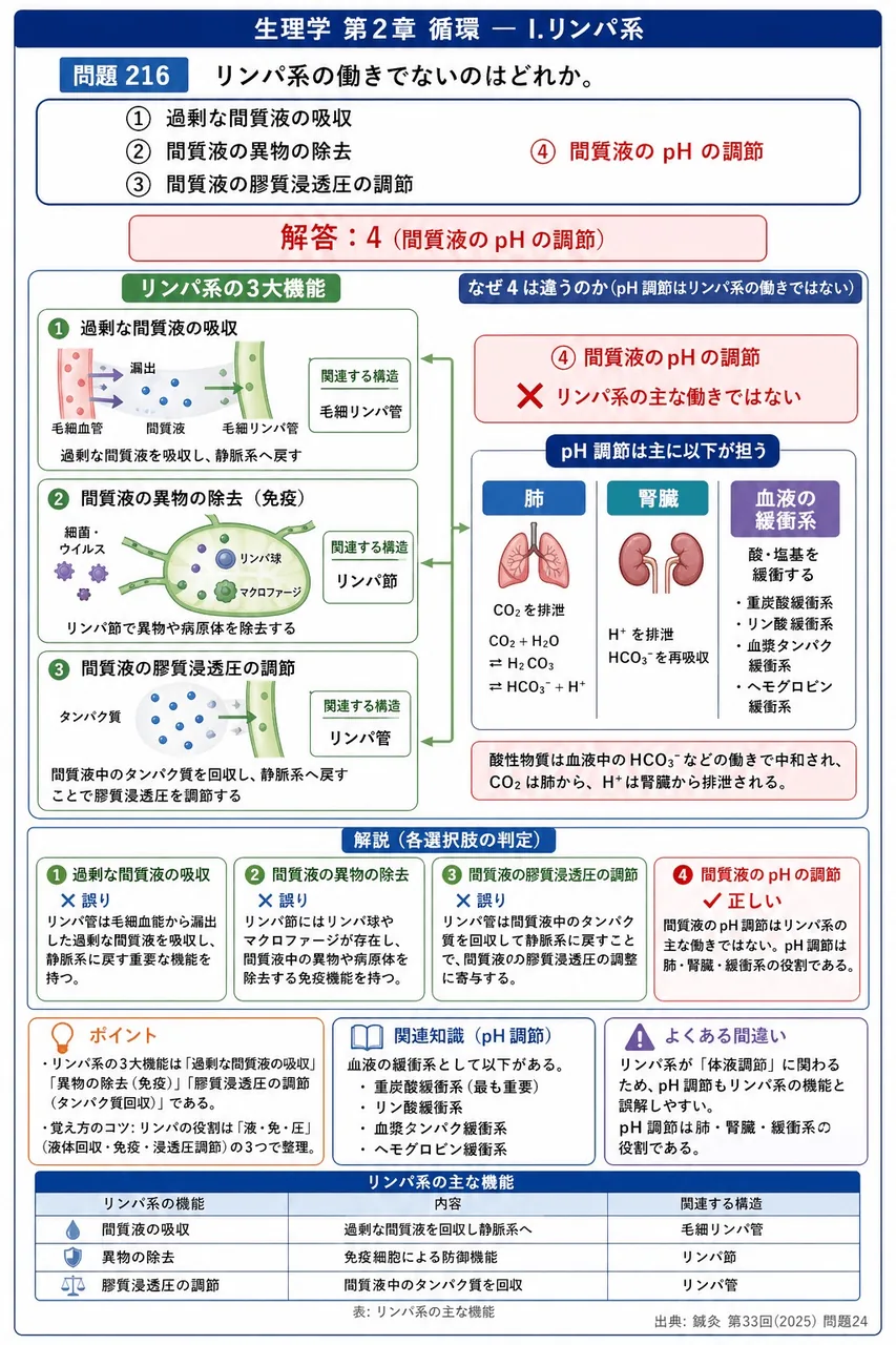 鍼灸 第33回(2025) 問題24｜リンパ系の働きでないのはどれか。 解説図