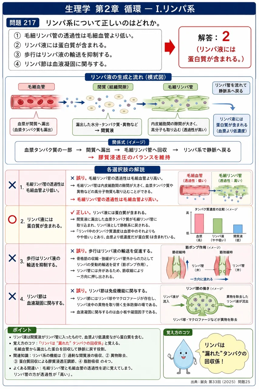 鍼灸 第33回(2025) 問題25｜リンパ系について正しいのはどれか。 解説図