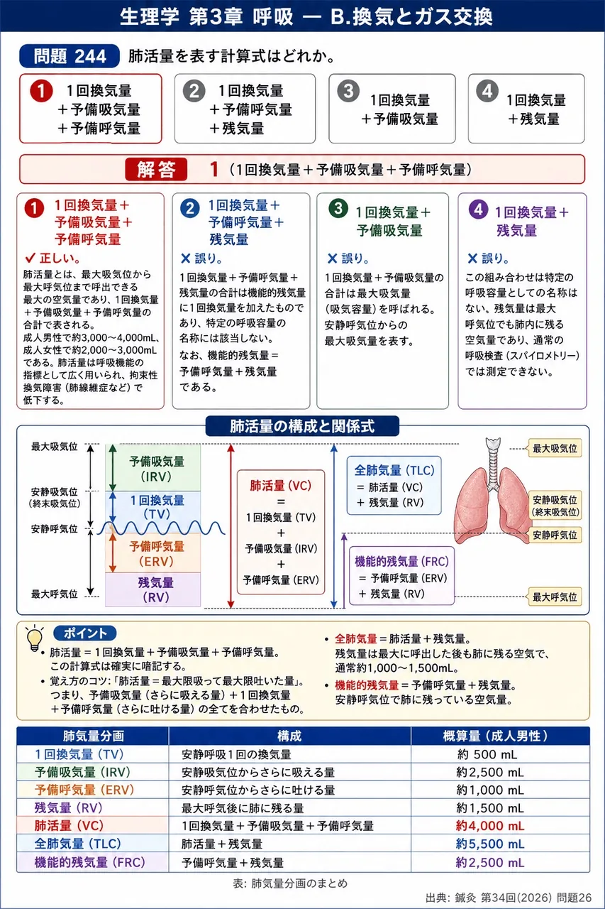 鍼灸 第34回(2026) 問題26｜肺活量を表す計算式はどれか。 解説図