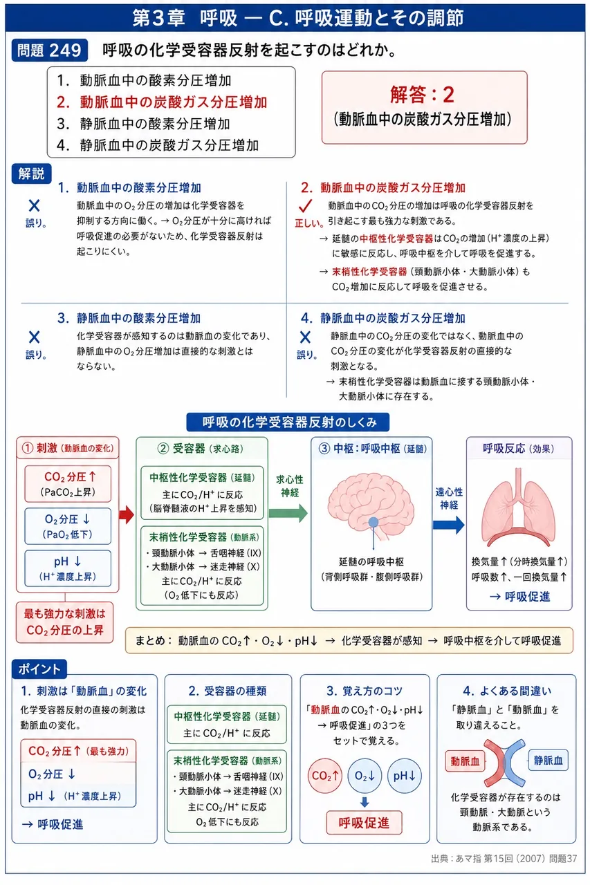 あマ指 第15回(2007) 問題37｜呼吸の化学受容器反射を起こすのはどれか。 解説図