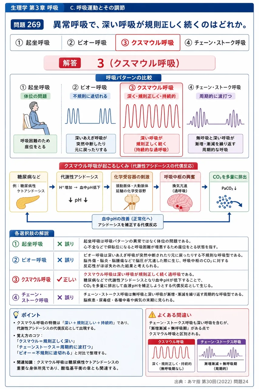 あマ指 第30回(2022) 問題24｜異常呼吸で、深い呼吸が規則正しく続くのはどれか。 解説図