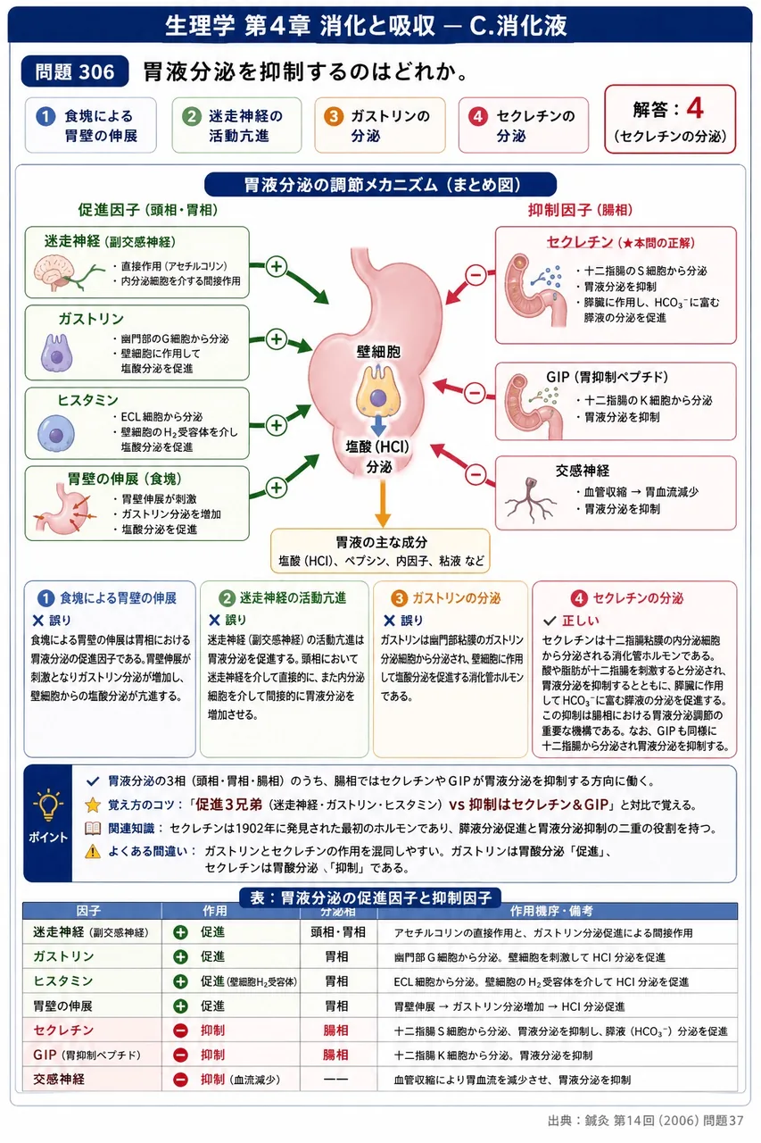 鍼灸 第14回(2006) 問題37｜胃液分泌を抑制するのはどれか。 解説図