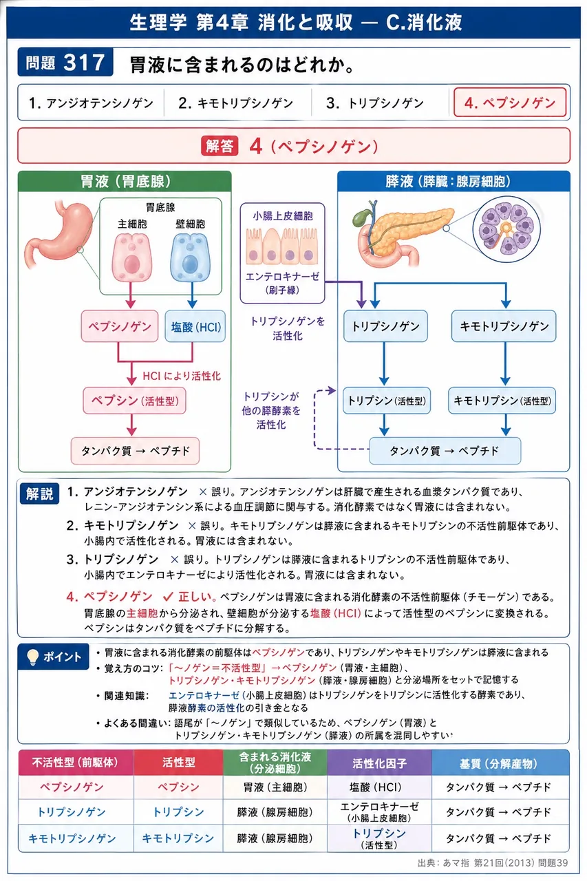 あマ指 第21回(2013) 問題39|胃液に含まれるのはどれか。 解説図