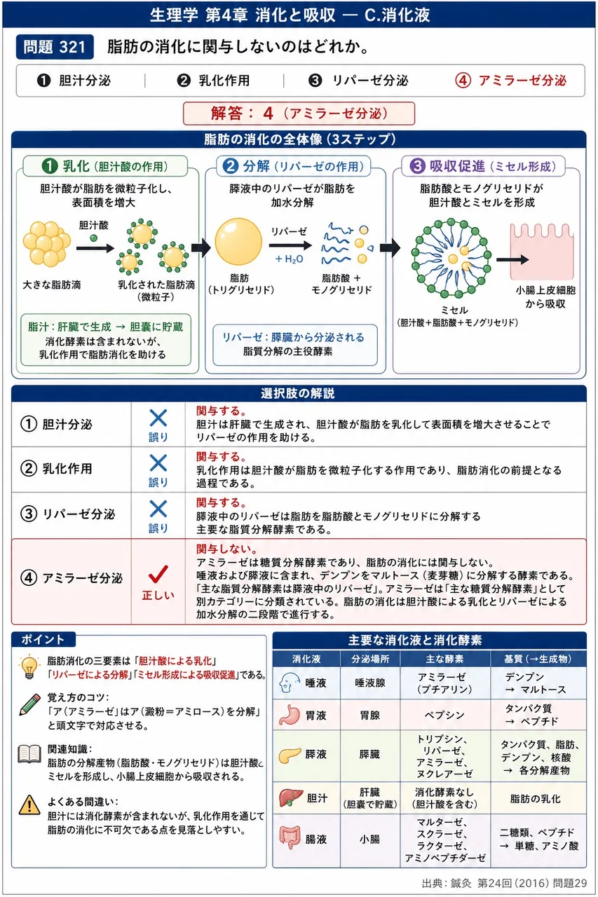 鍼灸 第24回(2016) 問題29|脂肪の消化に関与しないのはどれか。 解説図