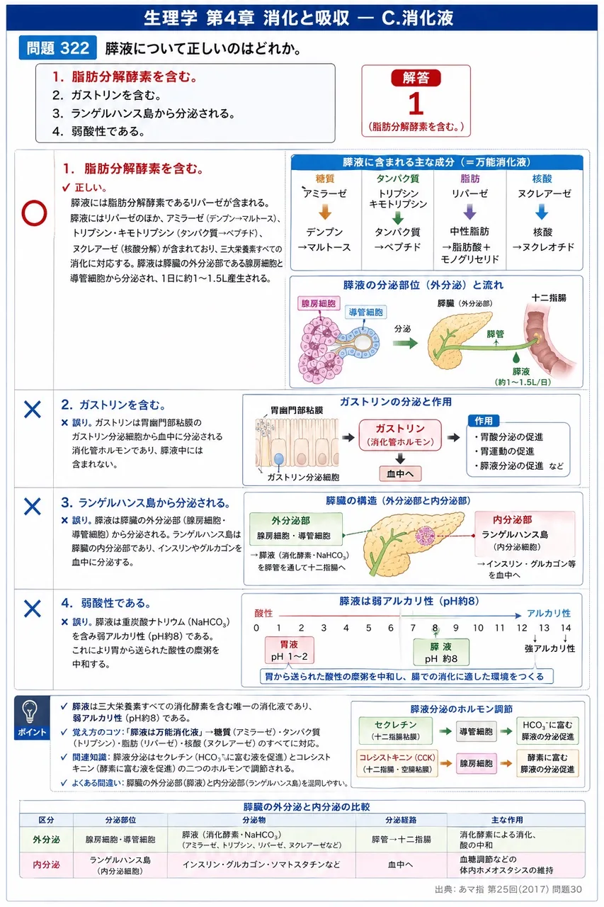 あマ指 第25回(2017) 問題30｜膵液について正しいのはどれか。 解説図