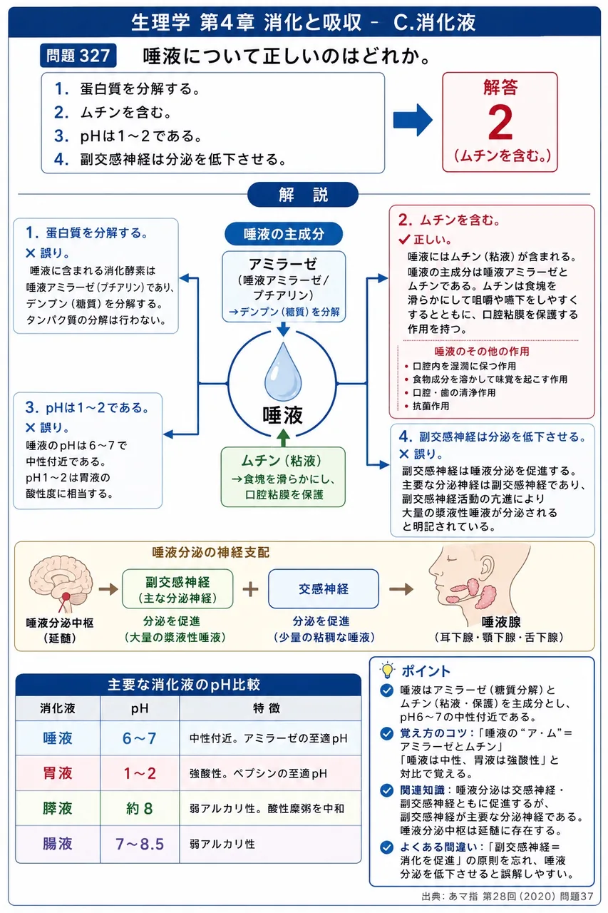 あマ指 第28回(2020) 問題37｜唾液について正しいのはどれか。 解説図