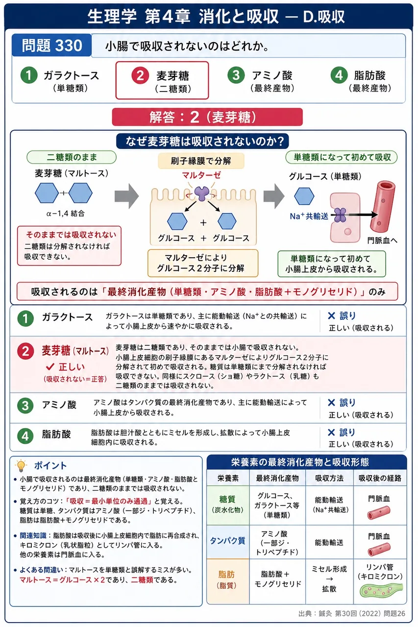 鍼灸 第30回(2022) 問題26｜小腸で吸収されないのはどれか。 解説図