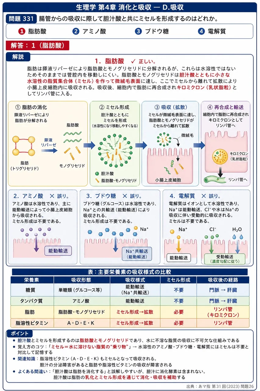 あマ指 第31回(2023) 問題26｜腸管からの吸収に際して胆汁酸と共にミセルを形成するのはどれか。 解説図