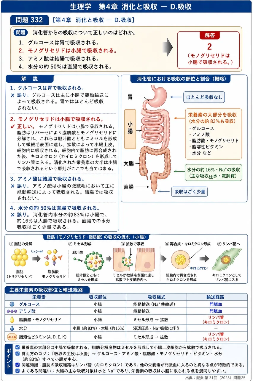鍼灸 第31回(2023) 問題25|消化管からの吸収について正しいのはどれか。 解説図