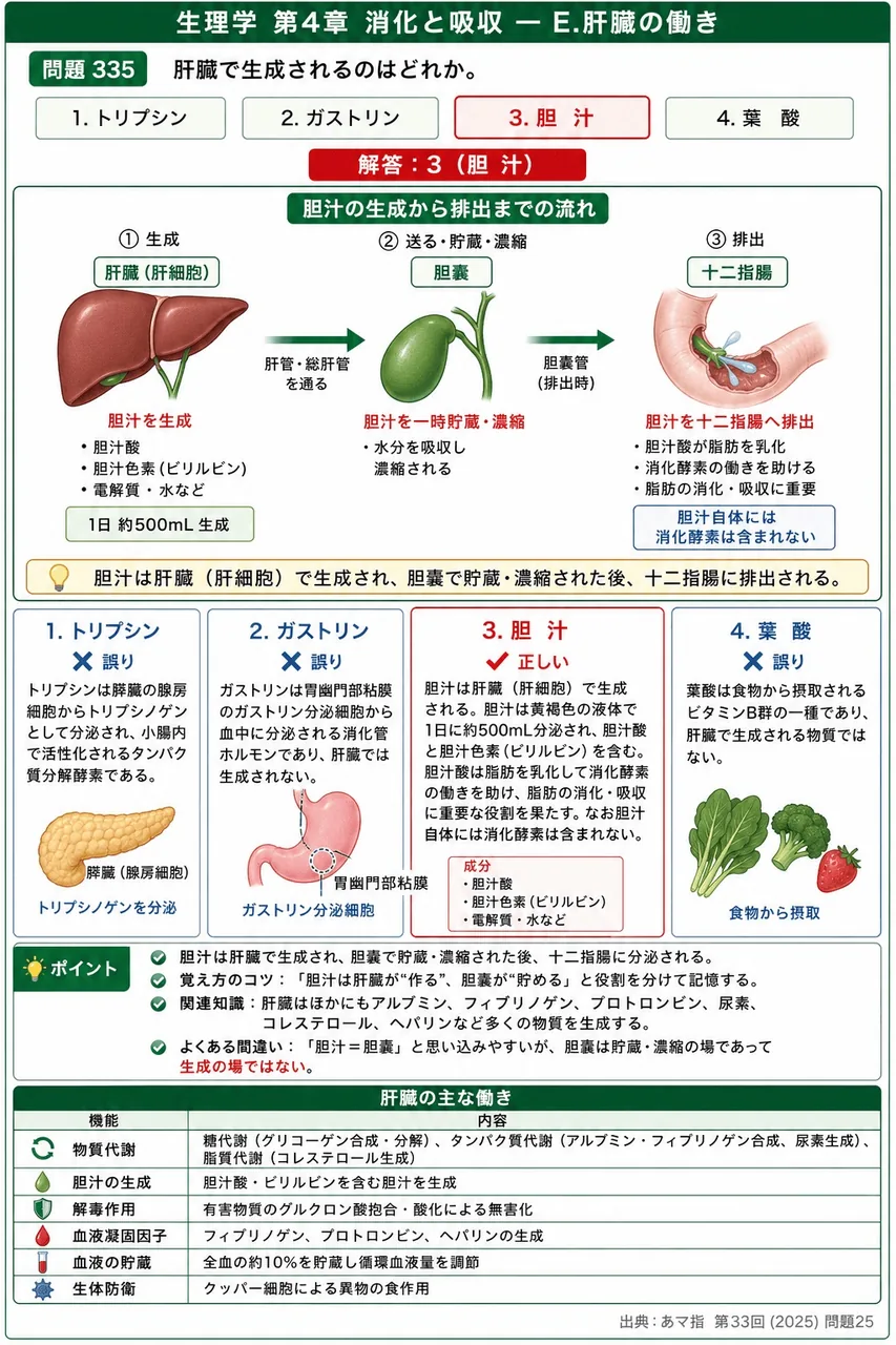 あマ指 第33回(2025) 問題25｜肝臓で生成されるのはどれか。 解説図