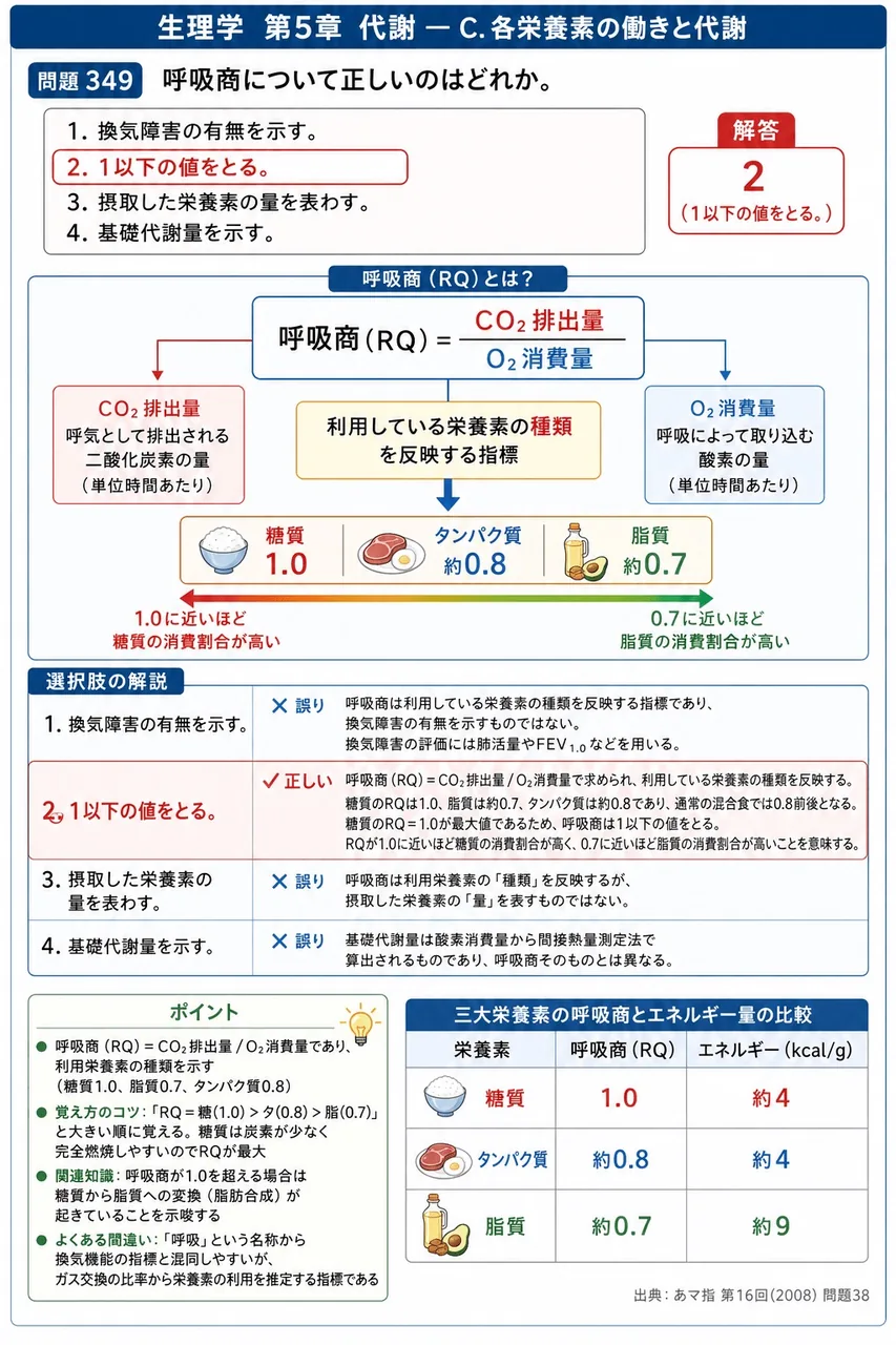 あマ指 第16回(2008) 問題38｜呼吸商について正しいのはどれか。 解説図