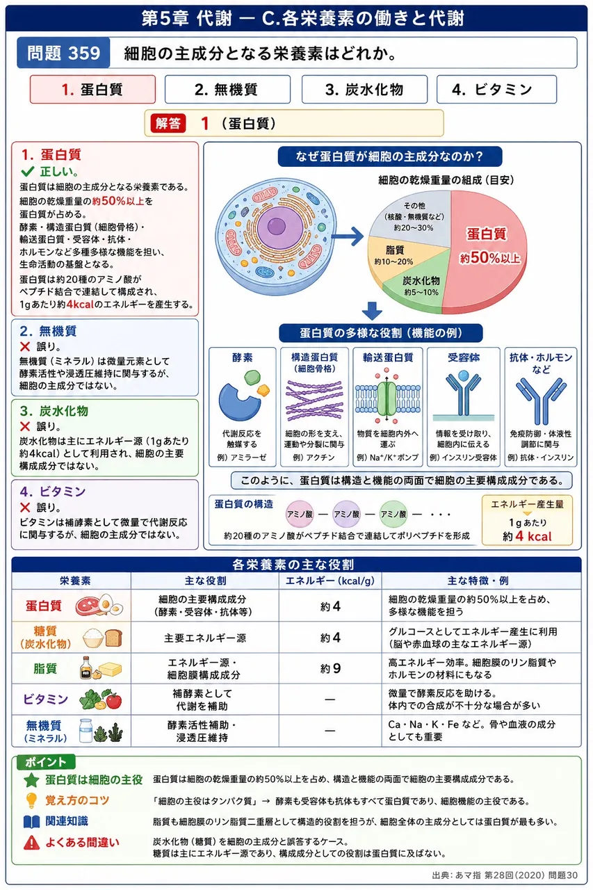 あマ指 第28回(2020) 問題30｜細胞の主成分となる栄養素はどれか。 解説図