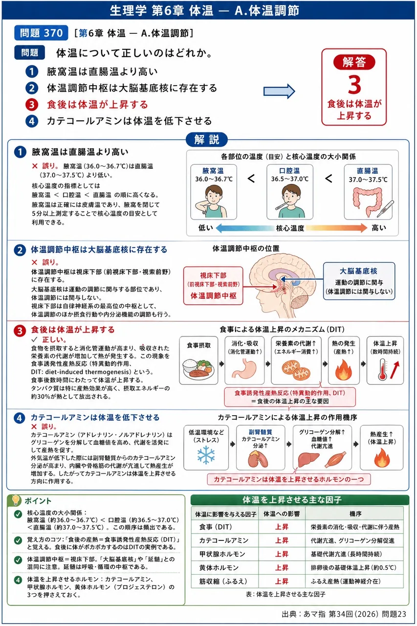 あマ指 第34回(2026) 問題23|体温について正しいのはどれか。 解説図