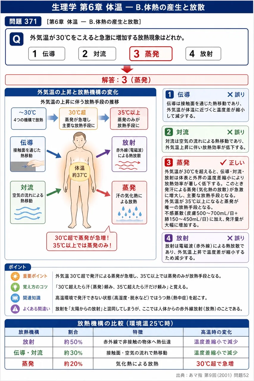 あマ指 第9回(2001) 問題52｜外気温が30°Cをこえると急激に増加する放熱現象はどれか。 解説図