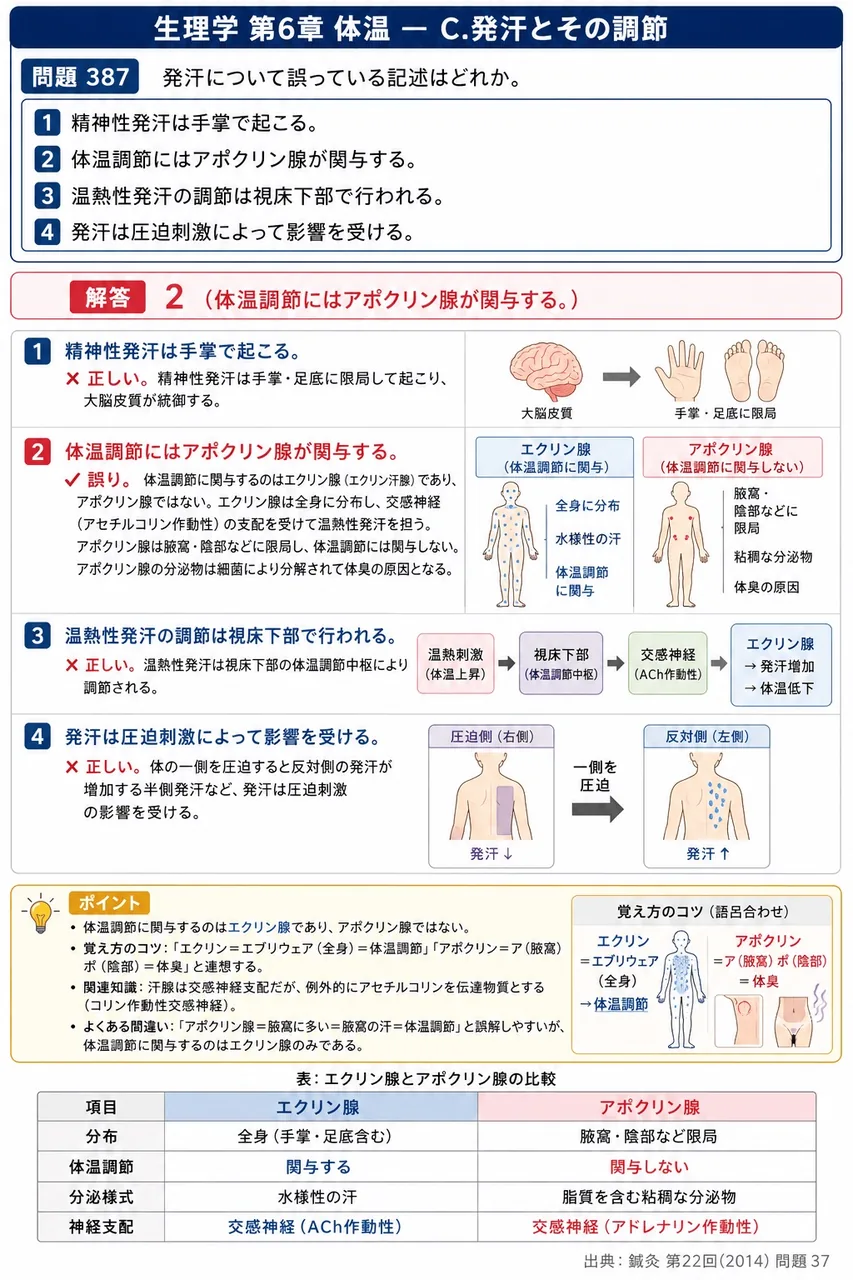 鍼灸 第22回(2014) 問題37｜発汗について誤っている記述はどれか。 解説図