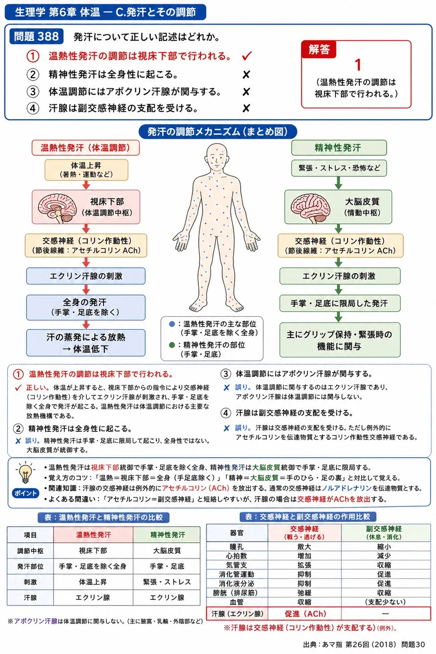 あマ指 第26回(2018) 問題30｜発汗について正しい記述はどれか。 解説図