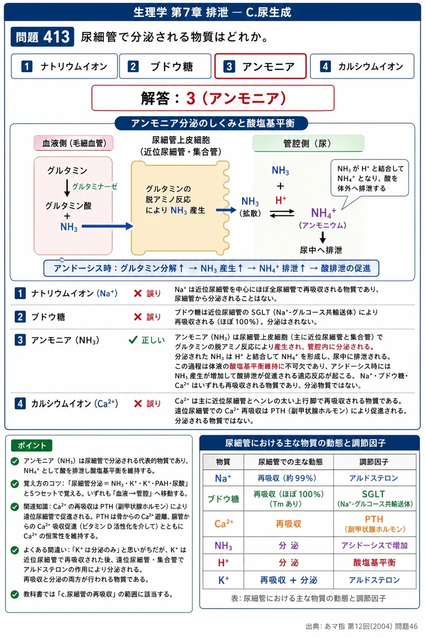 あマ指 第12回(2004) 問題46|尿細管で分泌される物質はどれか。 解説図