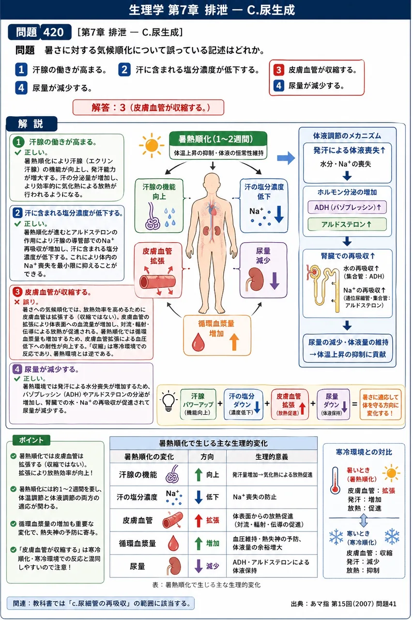 あマ指 第15回(2007) 問題41|暑さに対する気候順化について誤っている記述はどれか。 解説図