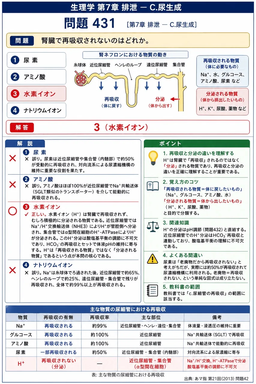 あマ指 第21回(2013) 問題42|腎臓で再吸収されないのはどれか。 解説図