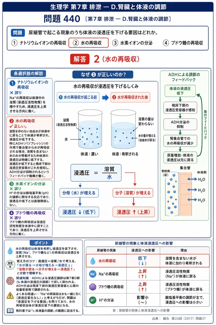 鍼灸 第25回(2017) 問題37｜尿細管で起こる現象のうち体液の浸透圧を下げる要因はどれか。 解説図