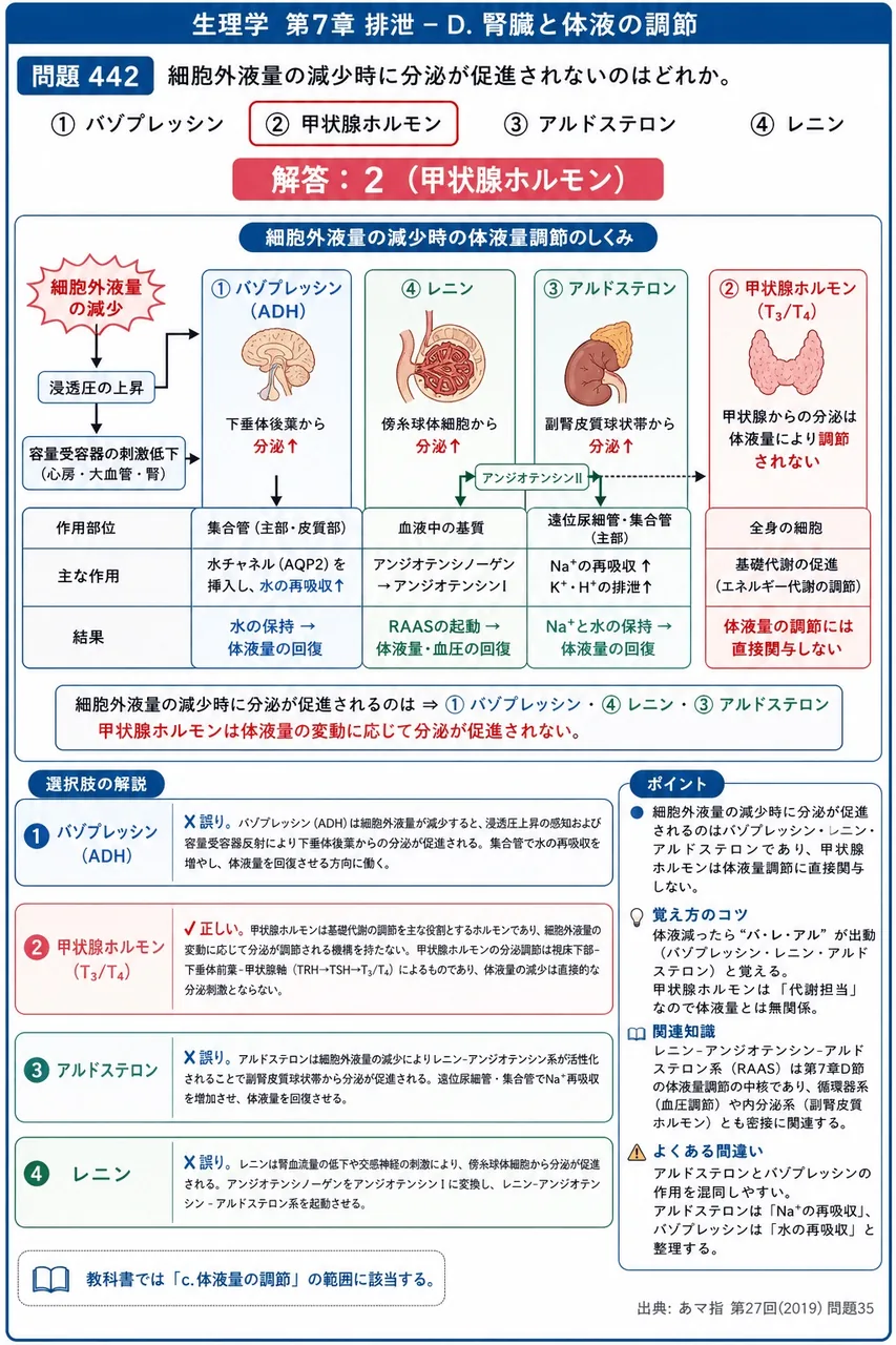 あマ指 第27回(2019) 問題35｜細胞外液量の減少時に分泌が促進されないのはどれか。 解説図