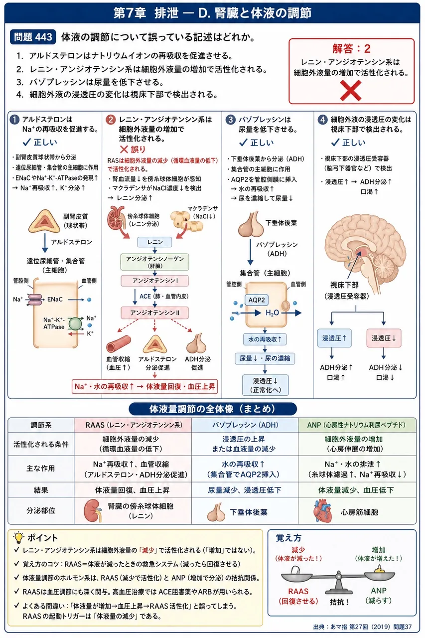 あマ指 第27回(2019) 問題37｜体液の調節について誤っている記述はどれか。 解説図