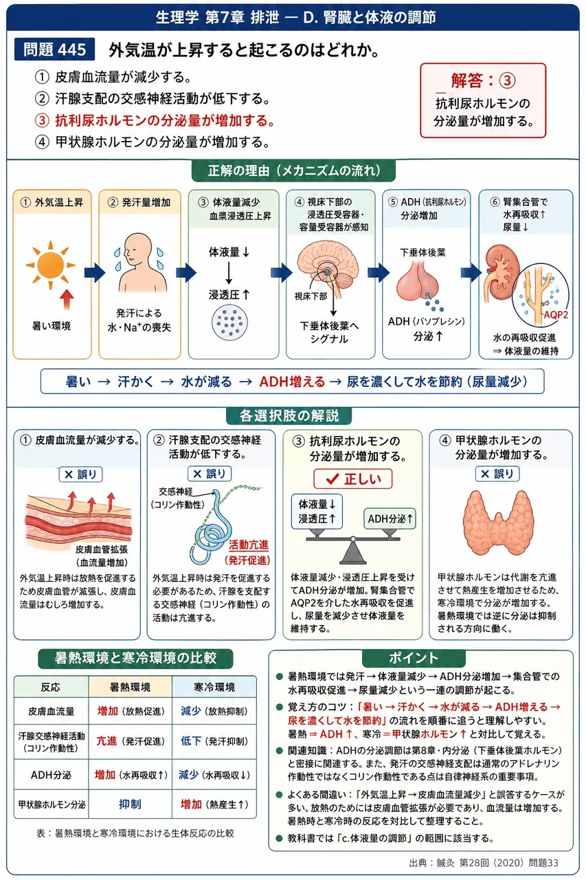 鍼灸 第28回(2020) 問題33｜外気温が上昇すると起こるのはどれか。 解説図