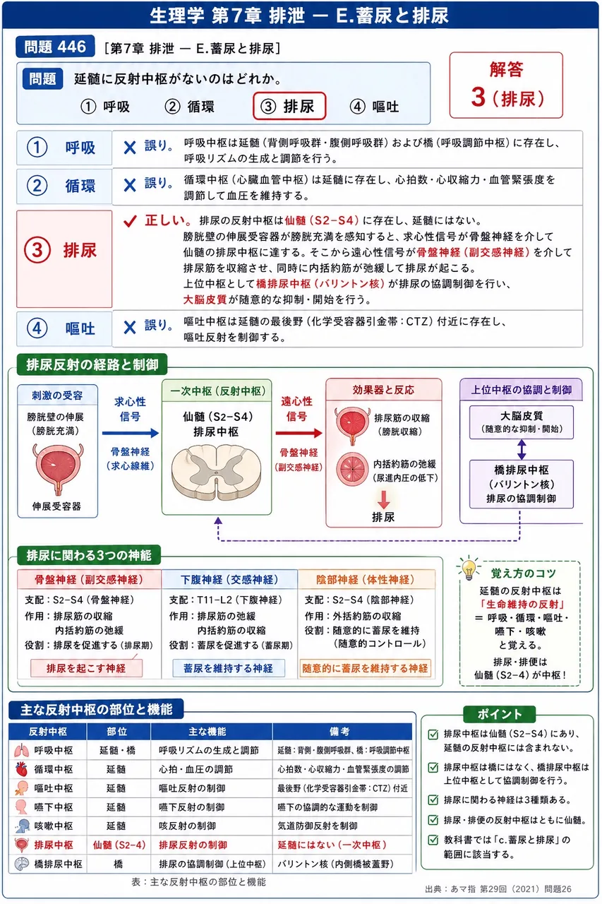 あマ指 第29回(2021) 問題26｜延髄に反射中枢がないのはどれか。 解説図