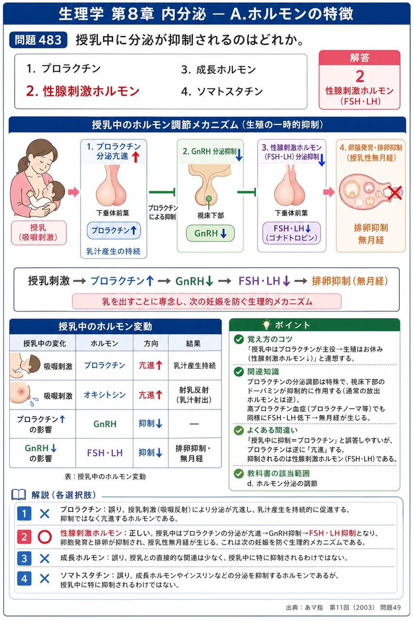 あマ指 第11回(2003) 問題49｜授乳中に分泌が抑制されるのはどれか。 解説図