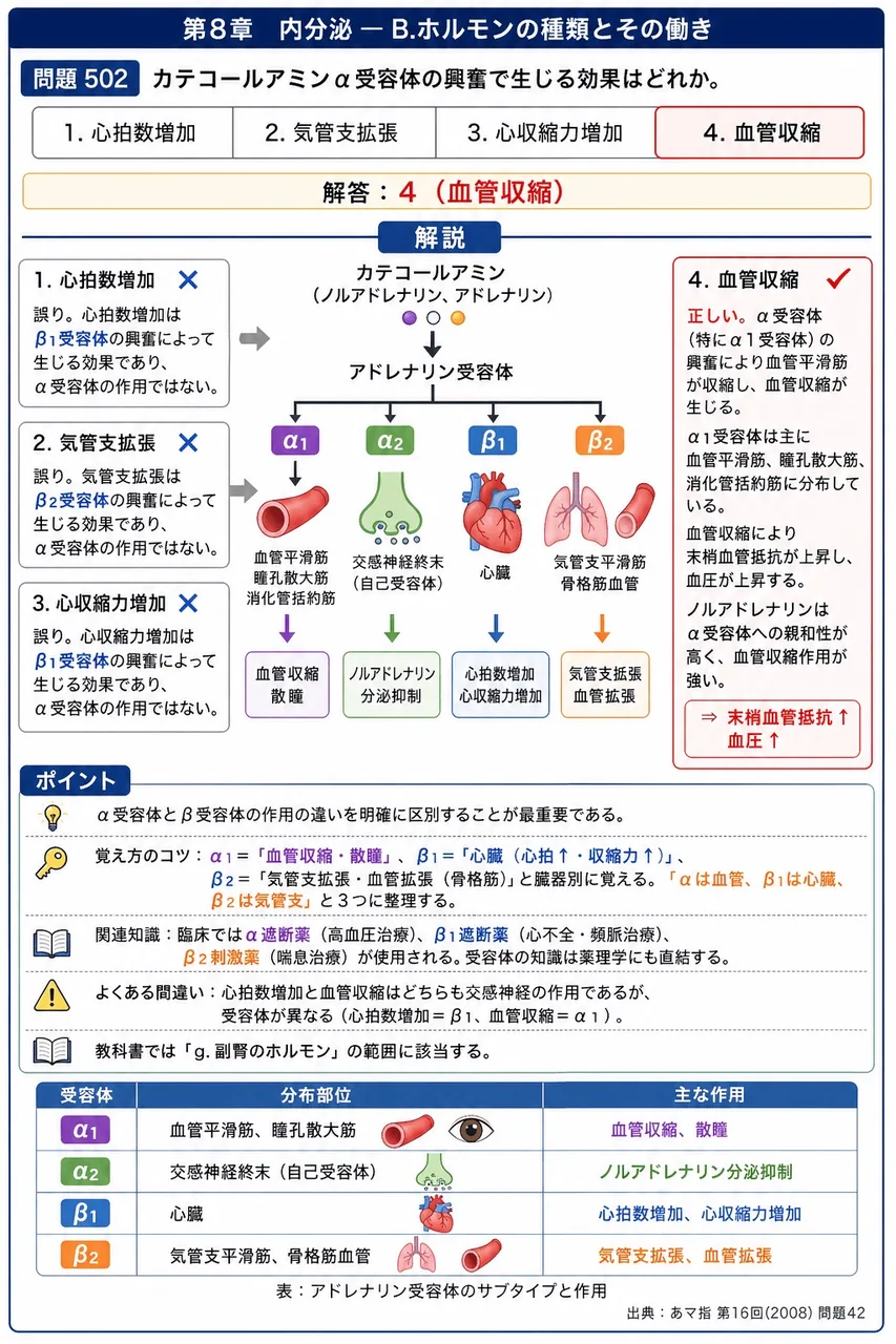 あマ指 第16回(2008) 問題42｜カテコールアミンα受容体の興奮で生じる効果はどれか。 解説図