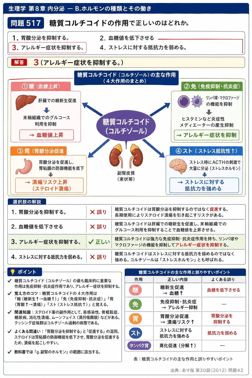 あマ指 第20回(2012) 問題42｜糖質コルチコイドの作用で正しいのはどれか。 解説図