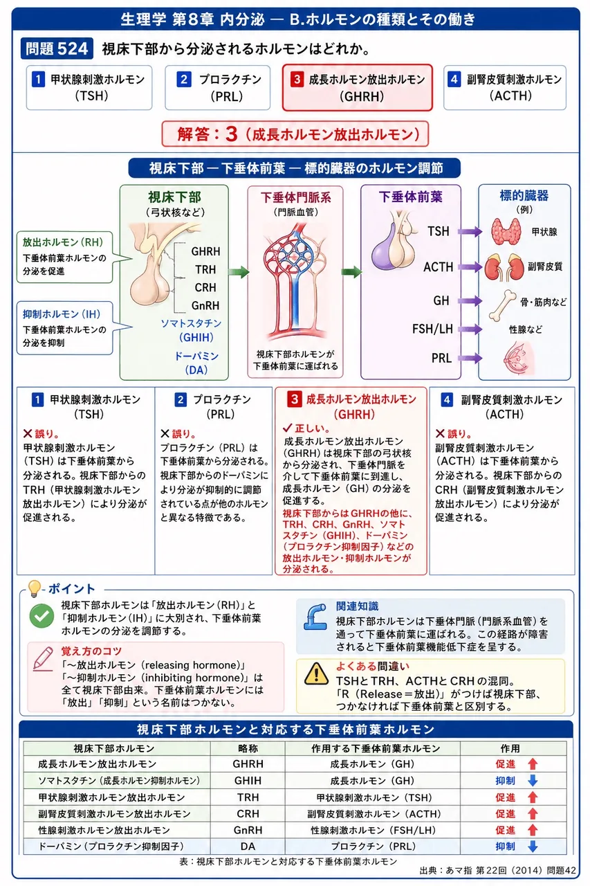 あマ指 第22回(2014) 問題42|視床下部から分泌されるホルモンはどれか。 解説図