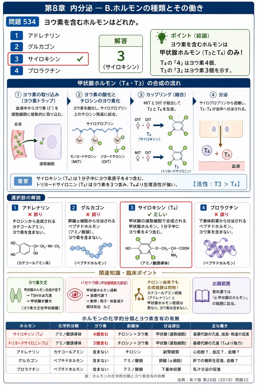 あマ指 第26回(2018) 問題32|ヨウ素を含むホルモンはどれか。 解説図