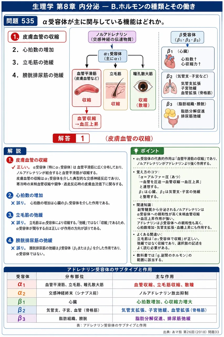 あマ指 第26回(2018) 問題33｜α受容体が主に関与している機能はどれか。 解説図