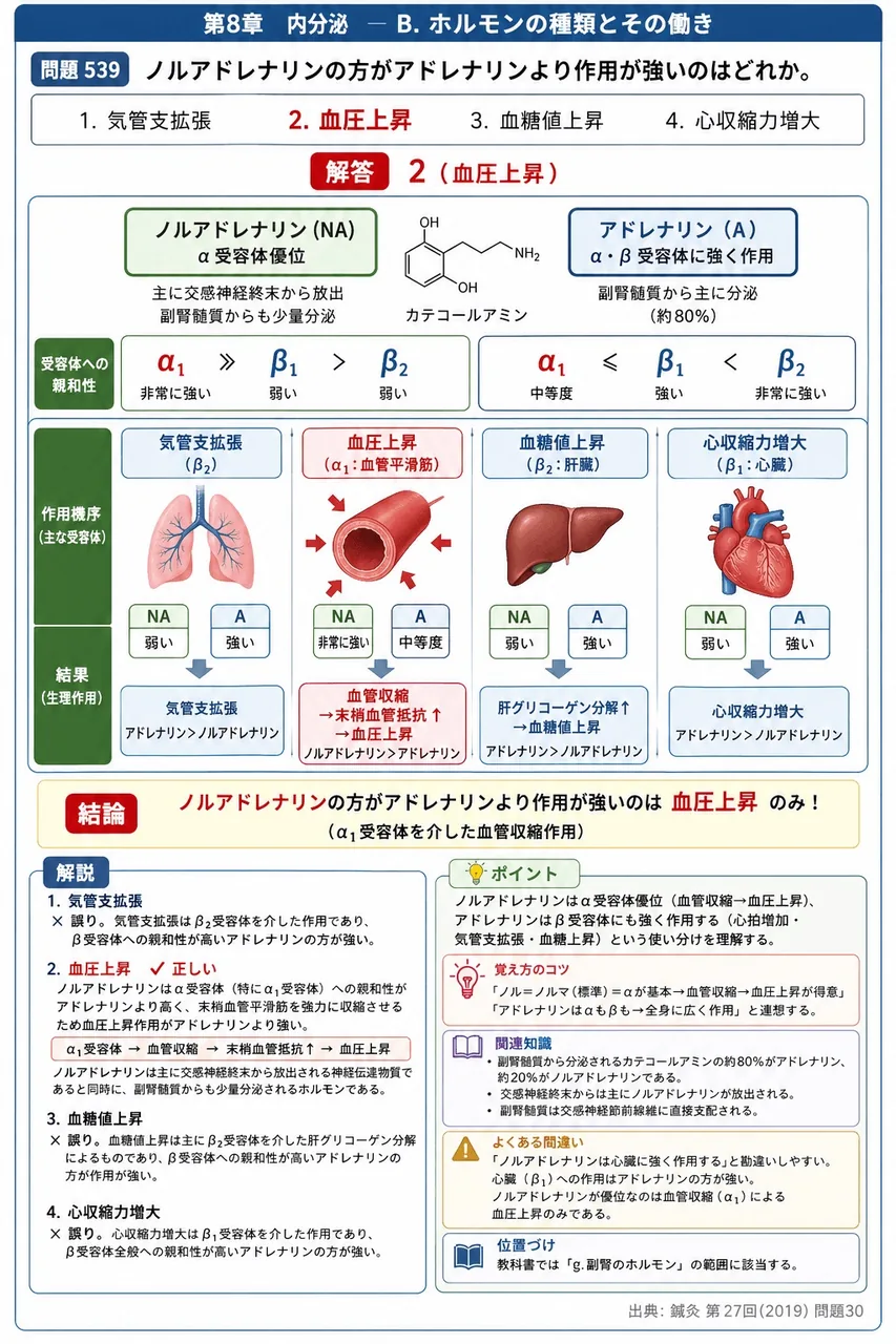 鍼灸 第27回(2019) 問題30｜ノルアドレナリンの方がアドレナリンより作用が強いのはどれか。 解説図