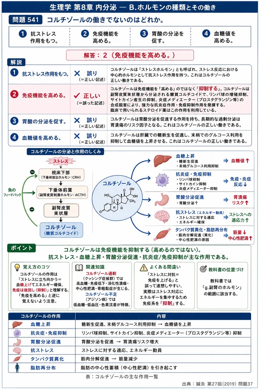 鍼灸 第27回(2019) 問題37｜コルチゾールの働きでないのはどれか。 解説図