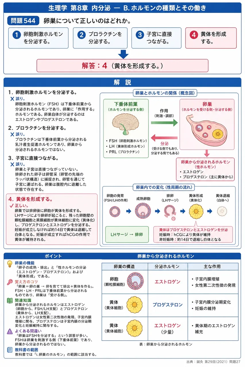 鍼灸 第29回(2021) 問題27｜卵巣について正しいのはどれか。 解説図
