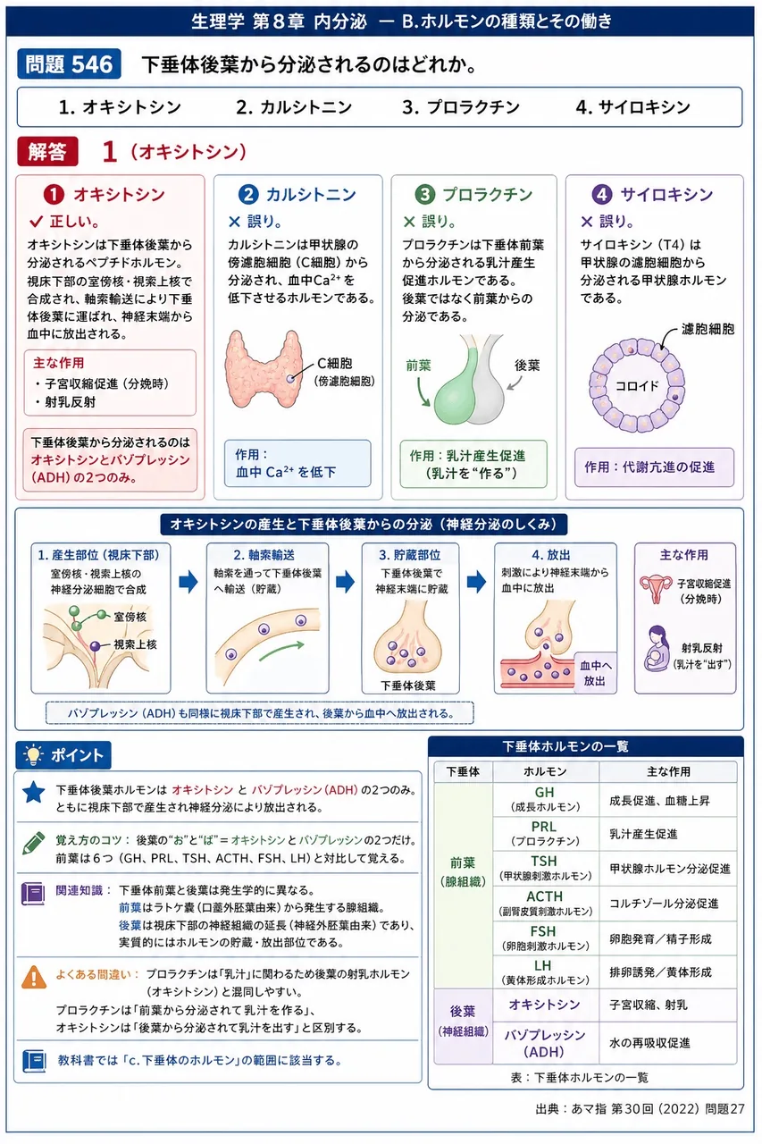 あマ指 第30回(2022) 問題27｜下垂体後葉から分泌されるのはどれか。 解説図