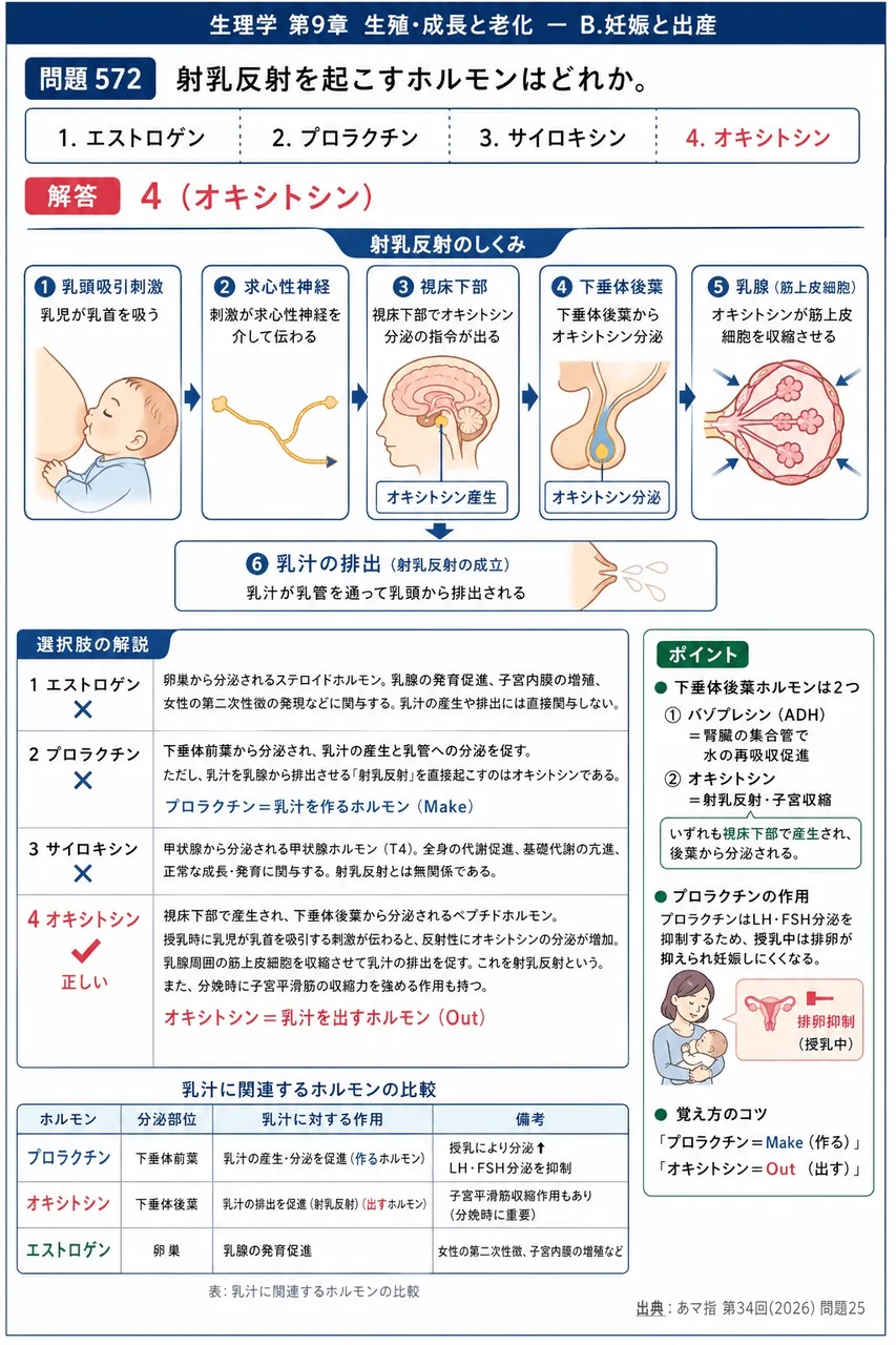 あマ指 第34回(2026) 問題25｜射乳反射を起こすホルモンはどれか。 解説図