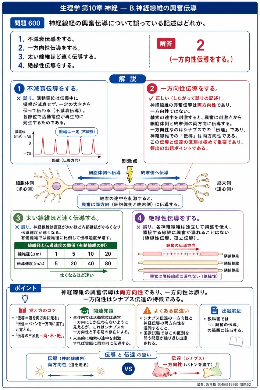 あマ指 第4回(1996) 問題52｜神経線経の興奮伝導について誤っている記述はどれか。 解説図