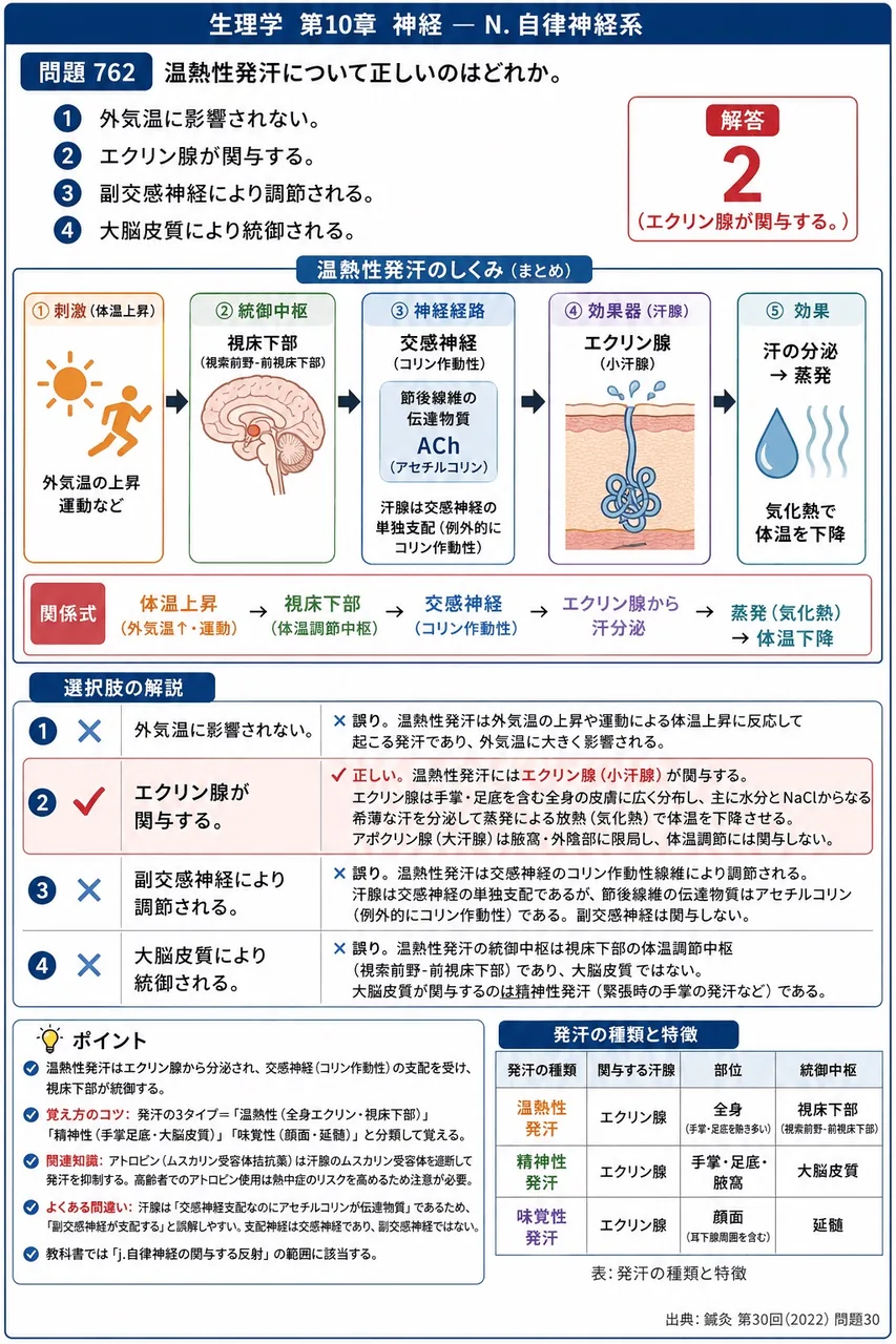鍼灸 第30回(2022) 問題30｜温熱性発汗について正しいのはどれか。 解説図