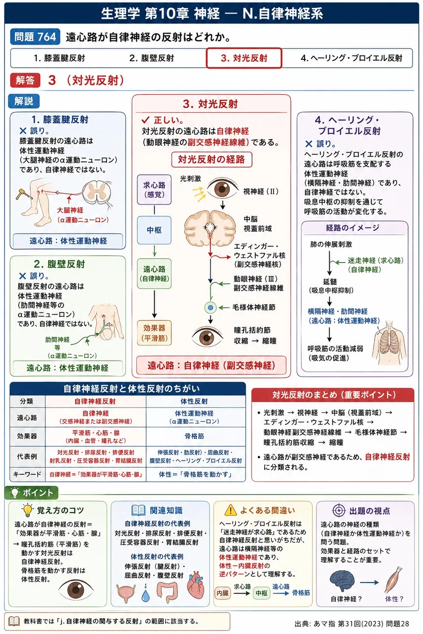 あマ指 第31回(2023) 問題28｜遠心路が自律神経の反射はどれか。 解説図