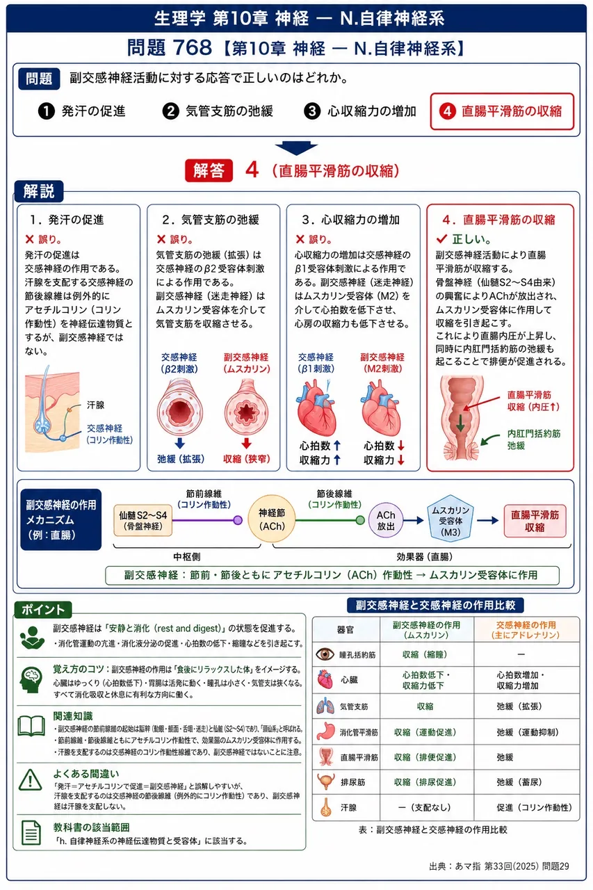 あマ指 第33回(2025) 問題29｜副交感神経活動に対する応答で正しいのはどれか。 解説図