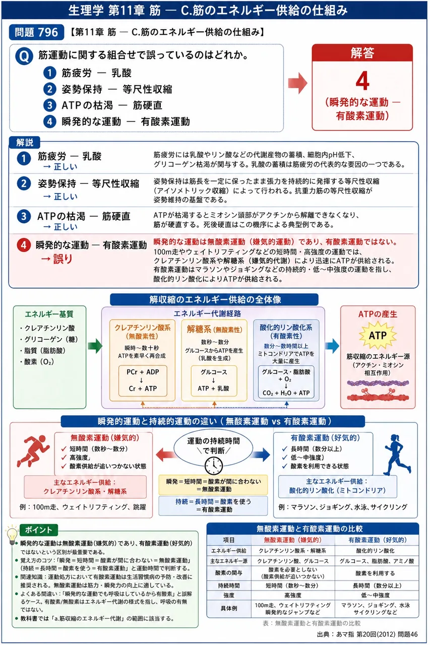 あマ指 第20回(2012) 問題46｜筋運動に関する組合せで誤っているのはどれか。 解説図