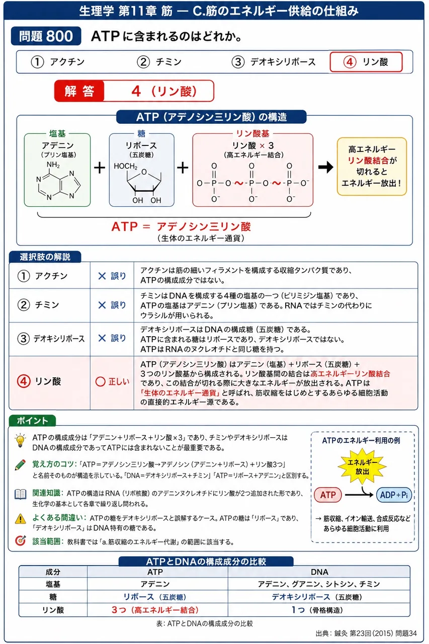鍼灸 第23回(2015) 問題34｜ATPに含まれるのはどれか。 解説図