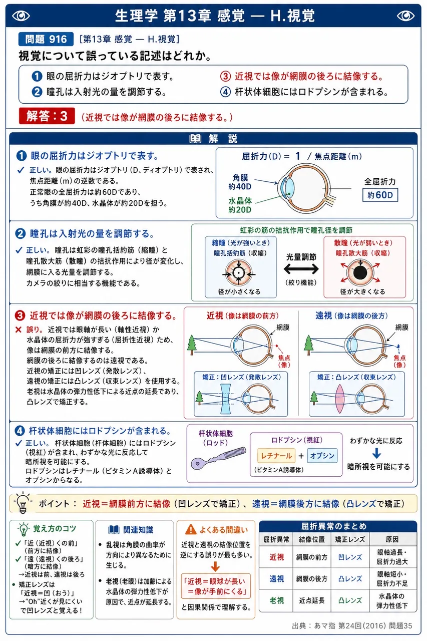 あマ指 第24回(2016) 問題35｜視覚について誤っている記述はどれか。 解説図