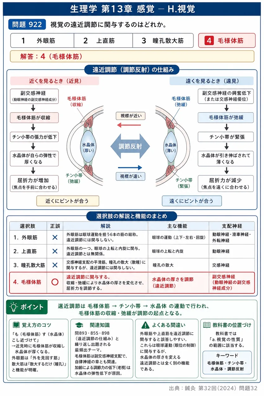 鍼灸 第32回(2024) 問題32｜視覚の遠近調節に関与するのはどれか。 解説図