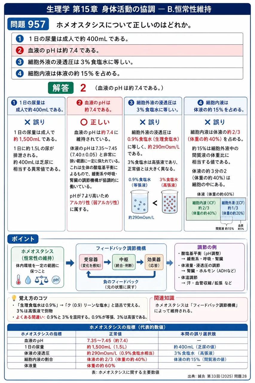 鍼灸 第33回(2025) 問題28｜ホメオスタシスについて正しいのはどれか。 解説図