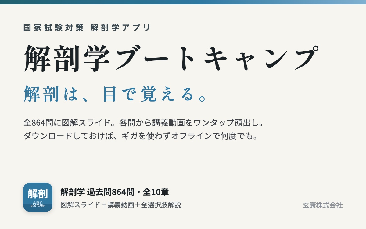 解剖学ブートキャンプ