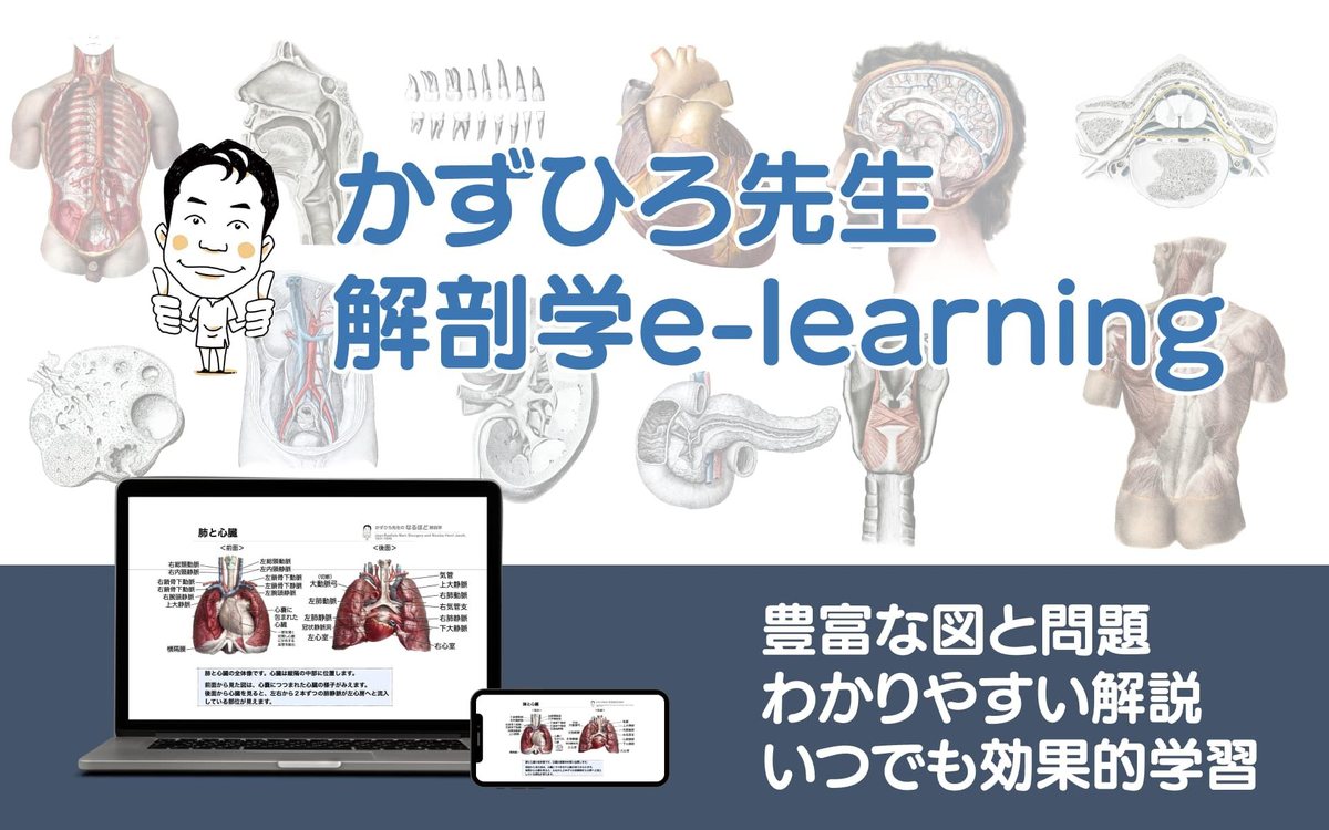 かずひろ先生 解剖学e-learning